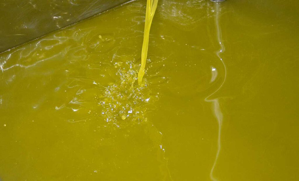 Herstellung von Olivenöl - Das frische Öl